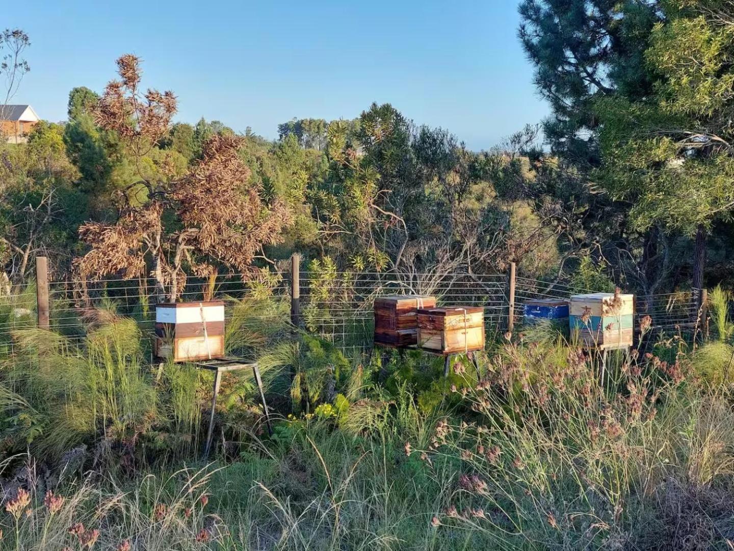 The Crags 20 Good Summers Farm Stay מראה חיצוני תמונה