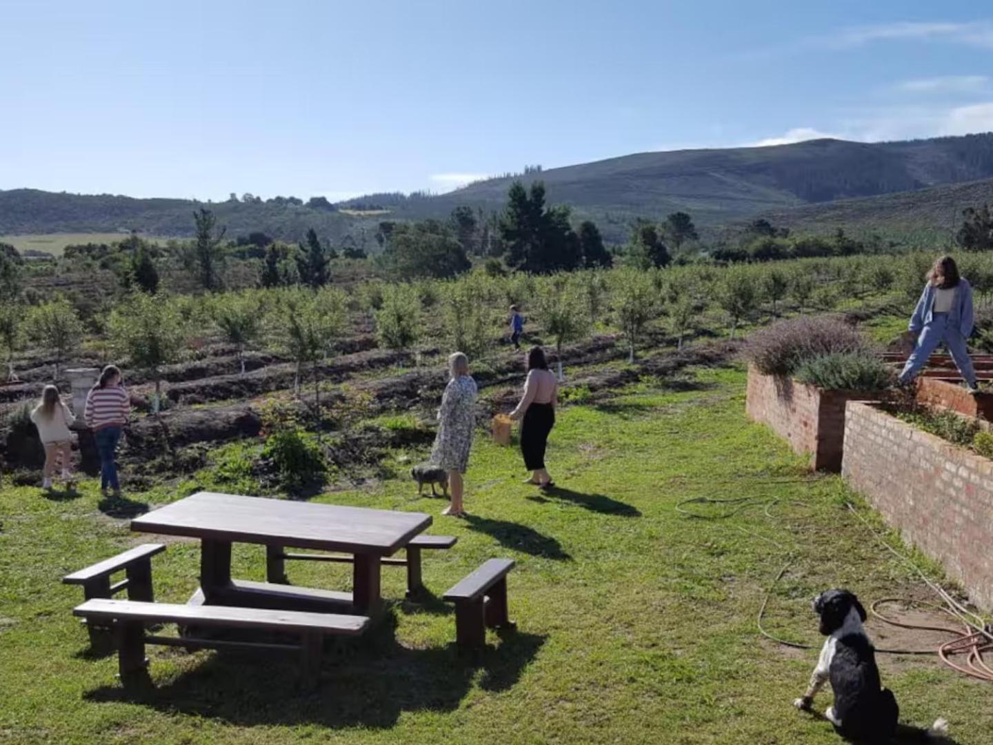 The Crags 20 Good Summers Farm Stay מראה חיצוני תמונה